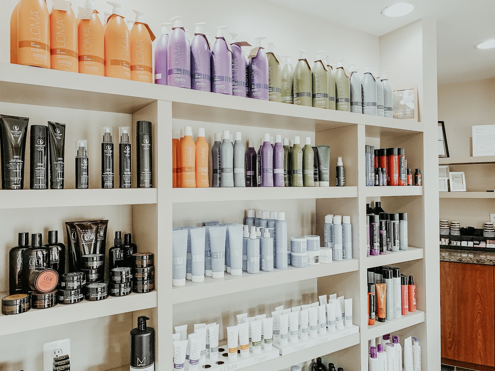V Salon in Livonia
