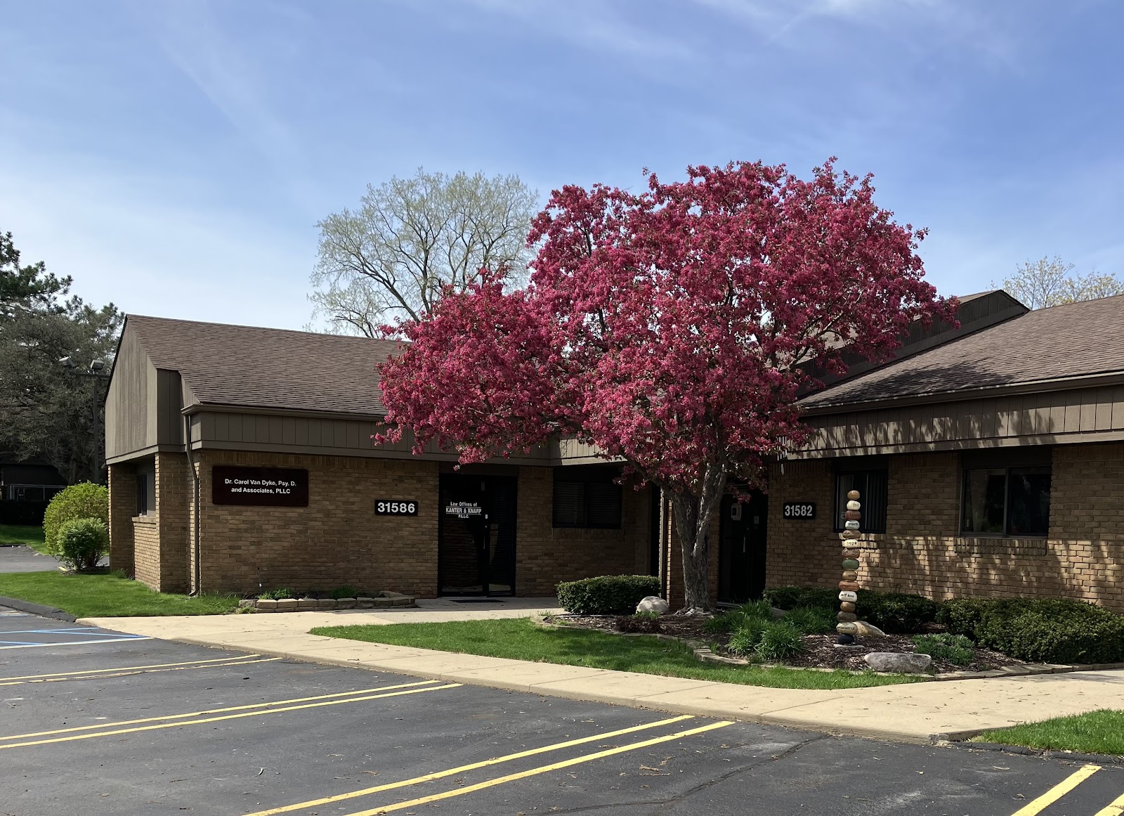 LIVonia Alternative Health — photo