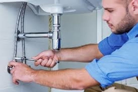 Livonia Plumbing Services — photo