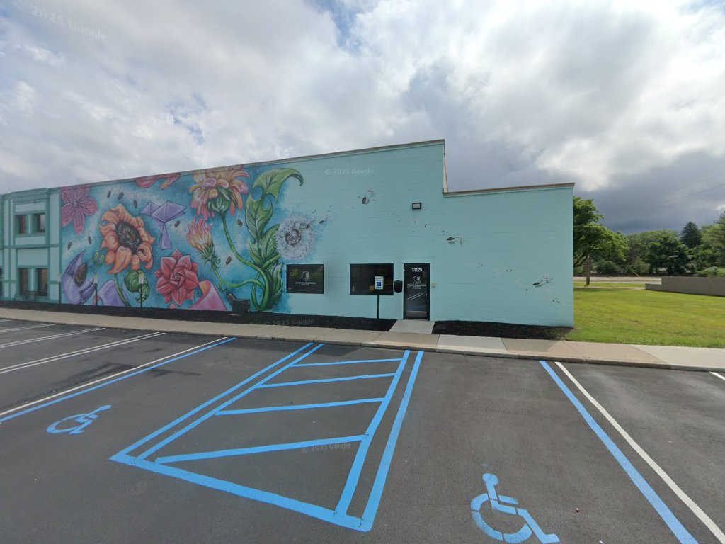 Lynx Auto Leasing in Livonia