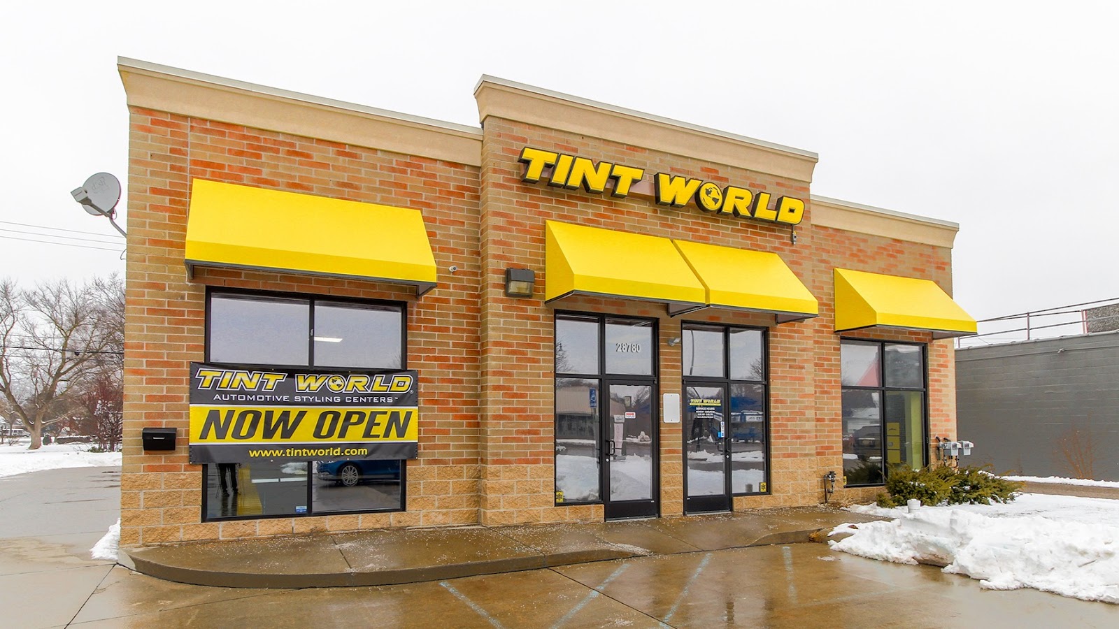 Tint World — photo